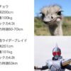 【仮面ライダー】ダチョウ凄いな