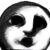 【プーッ。】今日で1周年