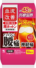 商品名：小林製薬　血流改善　N腰ホットン　10枚袋入 