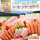 商品名：【ふるさと納税】ナルちゃんファーム ハムセット1.05kg sp / ウインナー ハム 食べ比べ 詰め合わせ / 大村市 / おおむら夢ファームシュシュ[ACAA298]