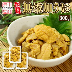 商品名:生うに 無添加 ミョウバン不使用 100g×3個 冷凍 ブランチ製法 バラ盛り VAグレード チリ産 生ウニ うに ウニ お試し 訳あり お刺身 丼 手巻き寿司 寿司ネタ 海鮮丼 業務用